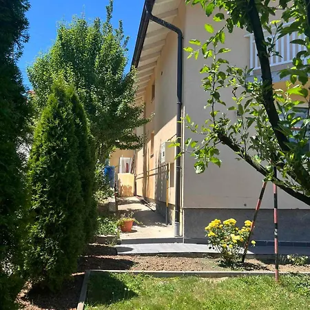 Jasmina Villa